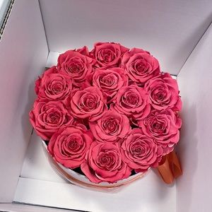 Meet your Posher, Oudi